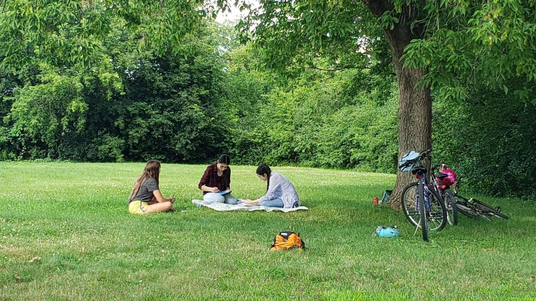 Our first meeting, at a park!